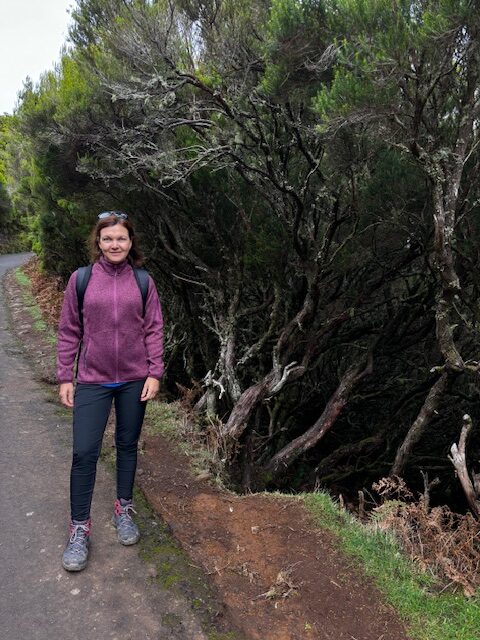 Madeira Impressionen