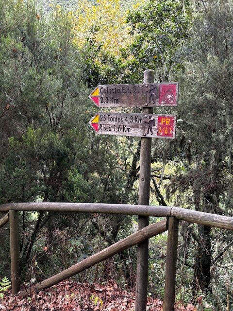 Madeira Impressionen