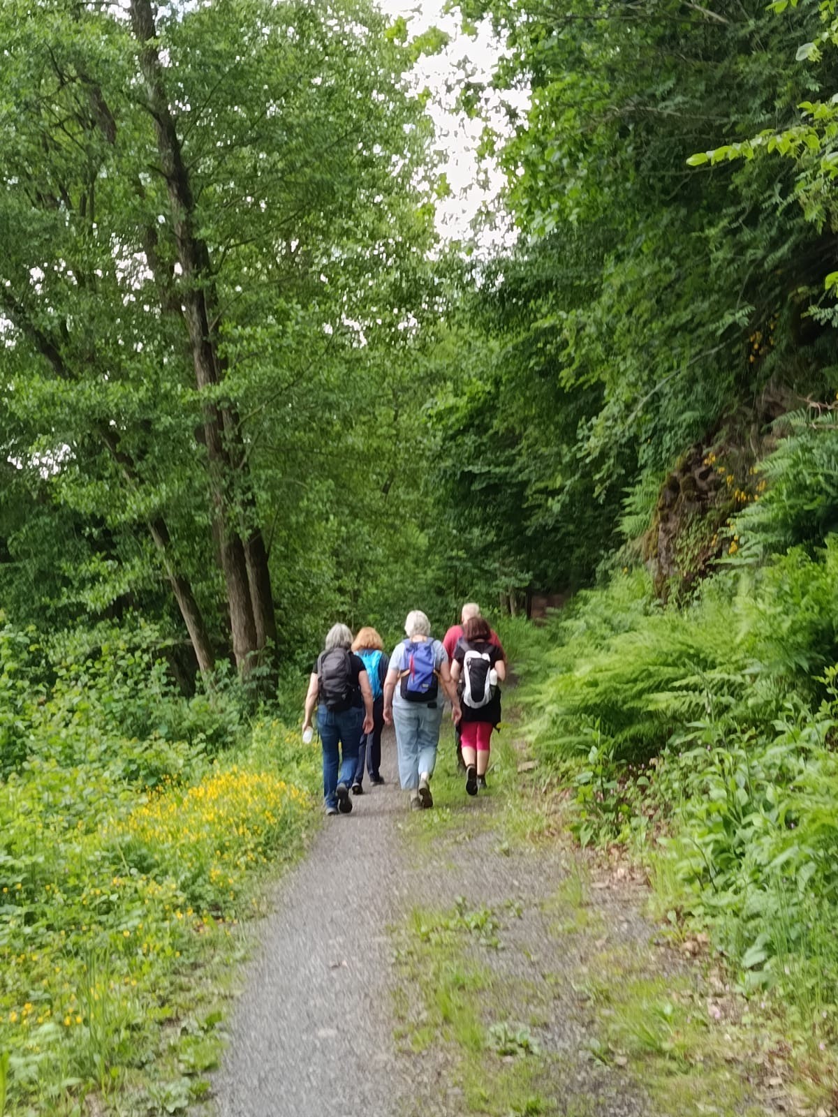 Fastenwandern
